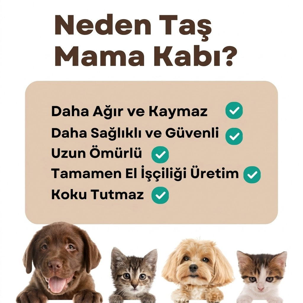 Kemik Model Taş Mama Kabı