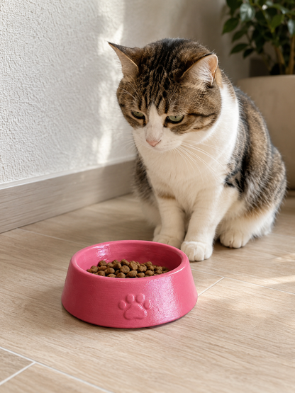 Pati Model Taş Mama Kabı (13 cm çap *4cm)